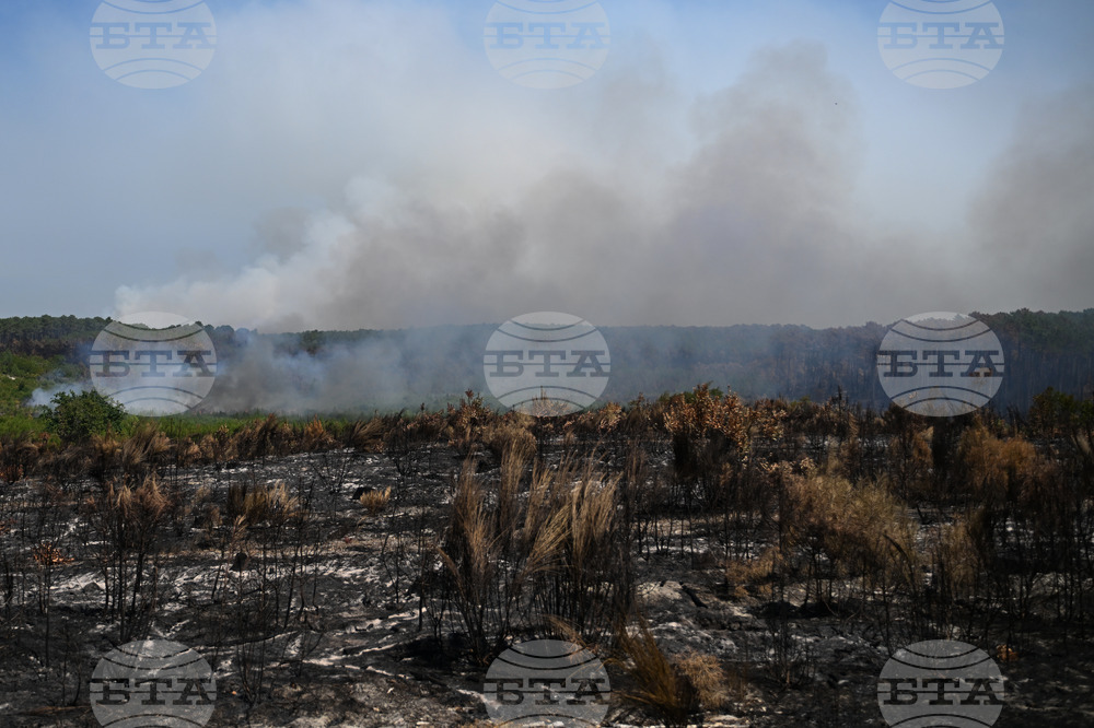 France Wildfires