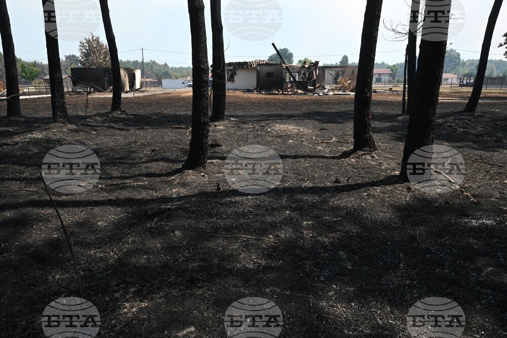France Wildfires
