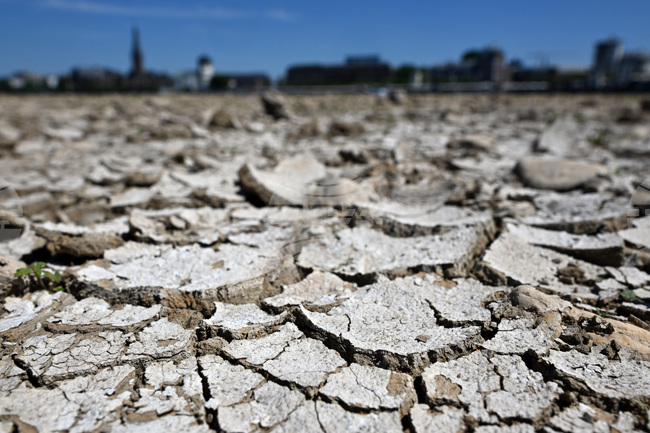 Germany Extreme Weather Drought