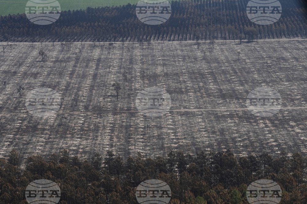 France Wildfires