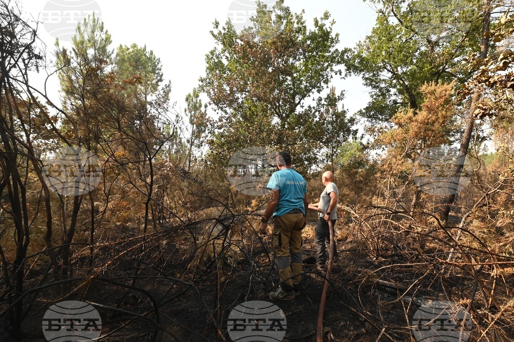 France Wildfires