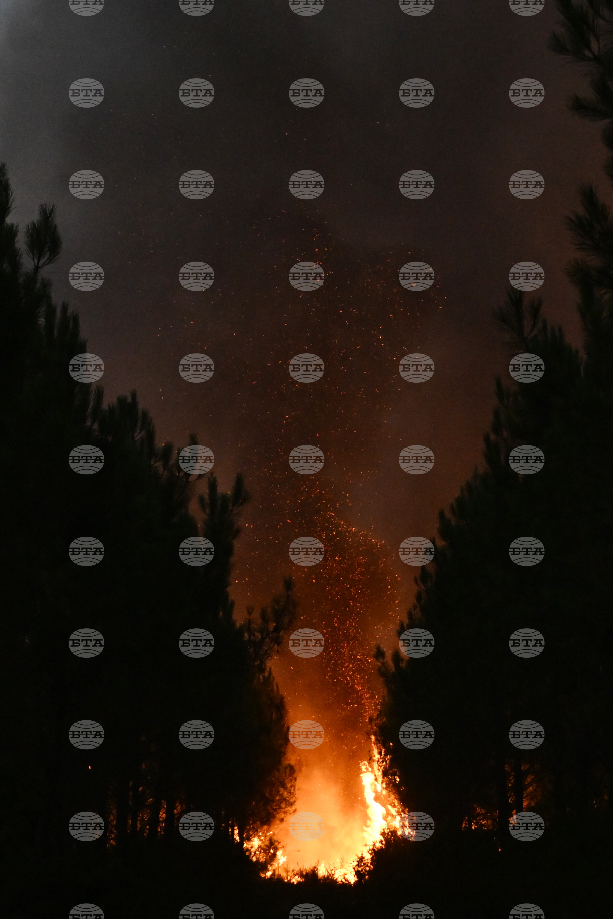 France Wildfires