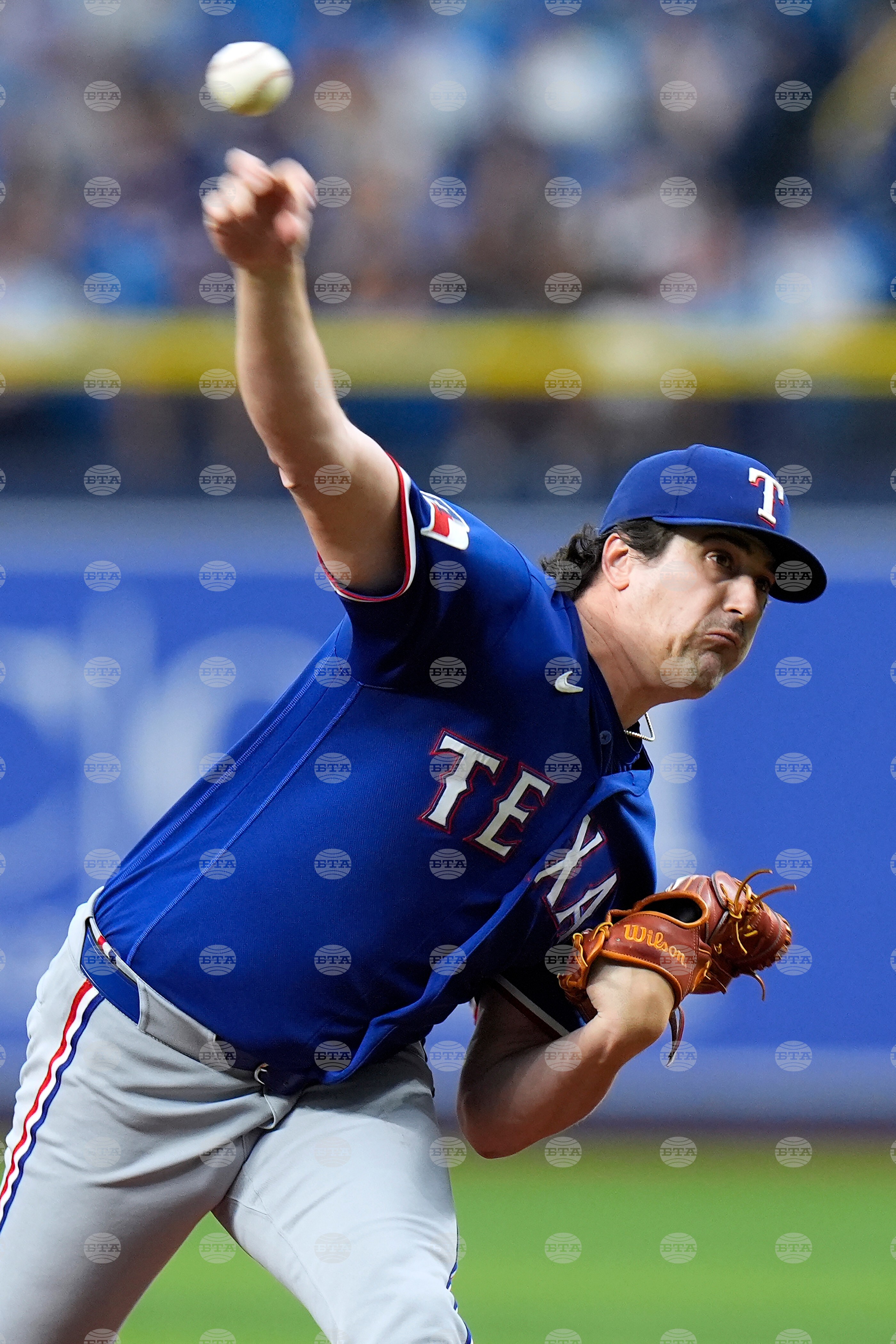 Rangers Rays Baseball