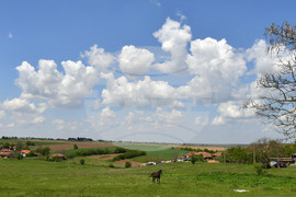 Село Лудогорци -  всекидневие