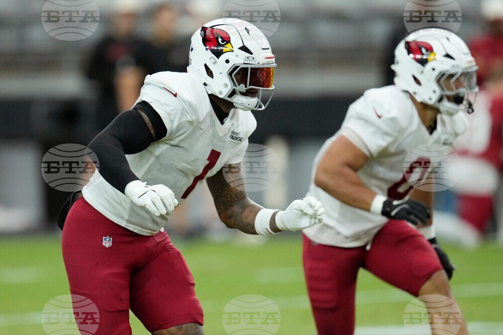 Cardinals Football