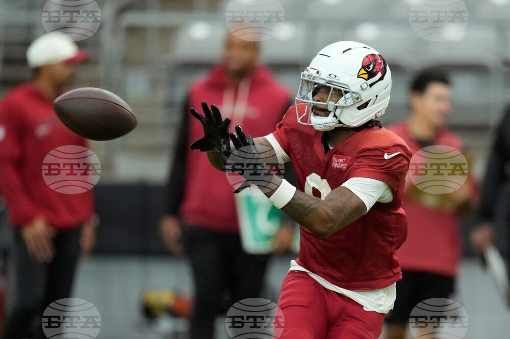 Cardinals Football