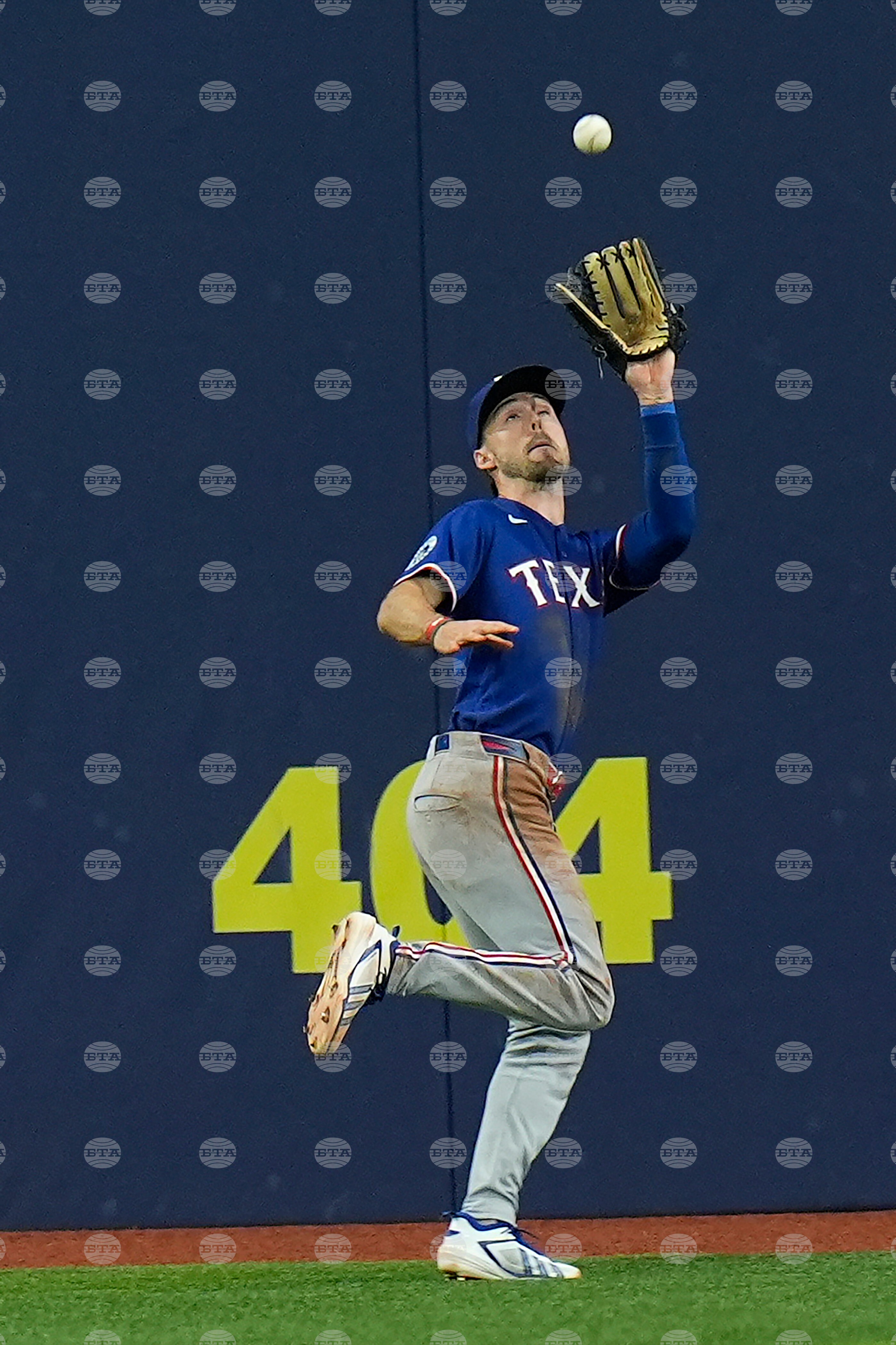 Rangers Rays Baseball