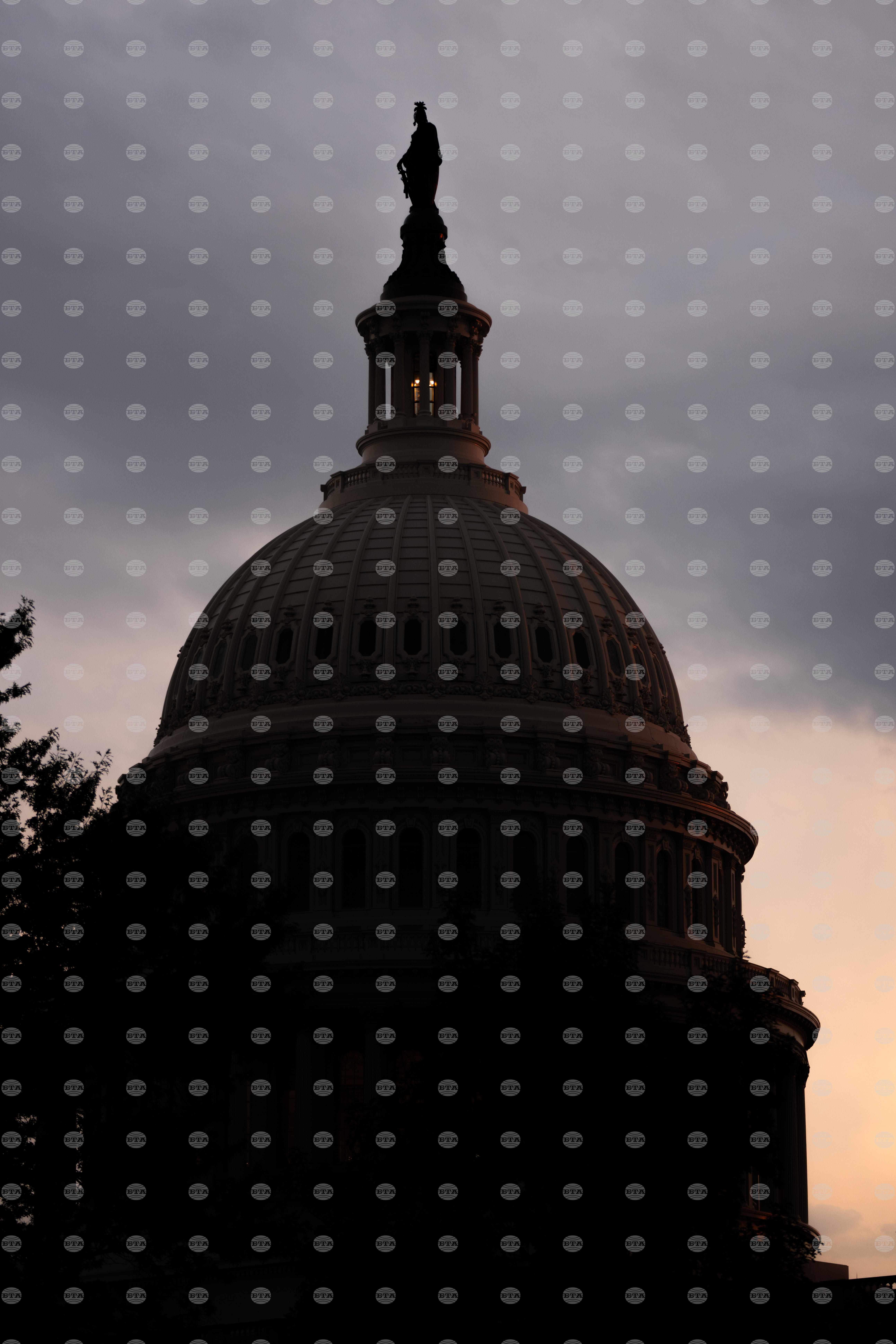 Congress