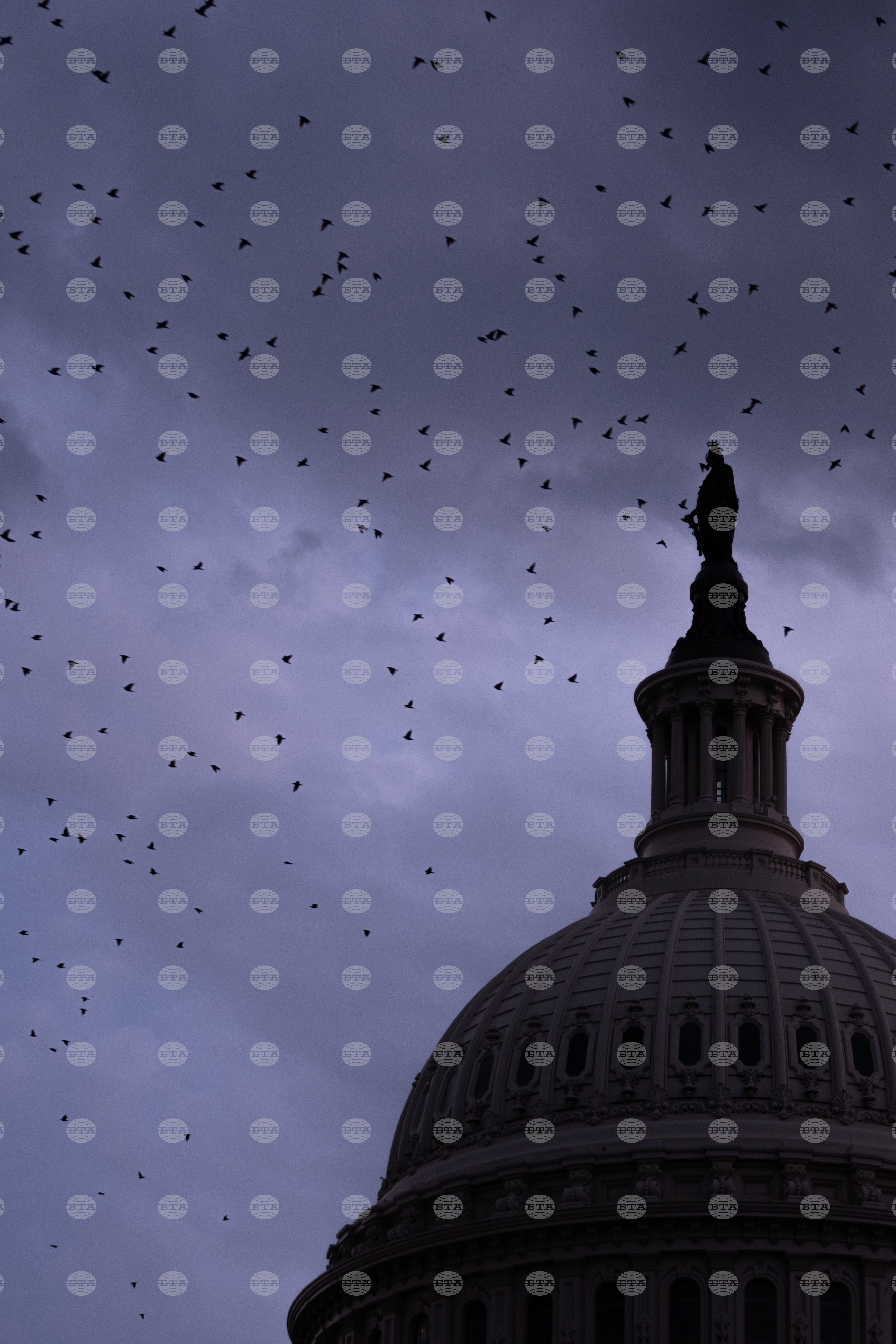Congress