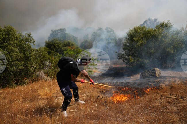 Climate Wildfires Global