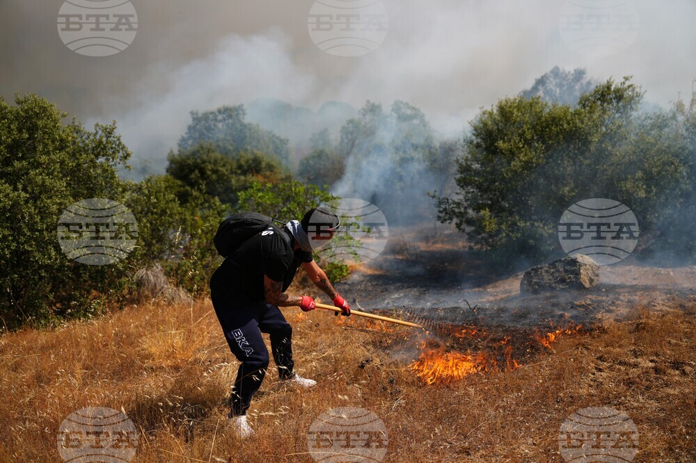 Climate Wildfires Global