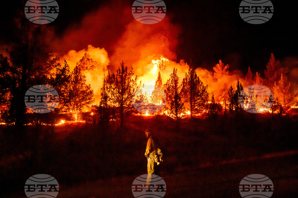 Climate Wildfires Global