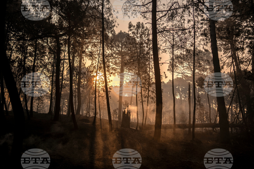 Spain Wildfires