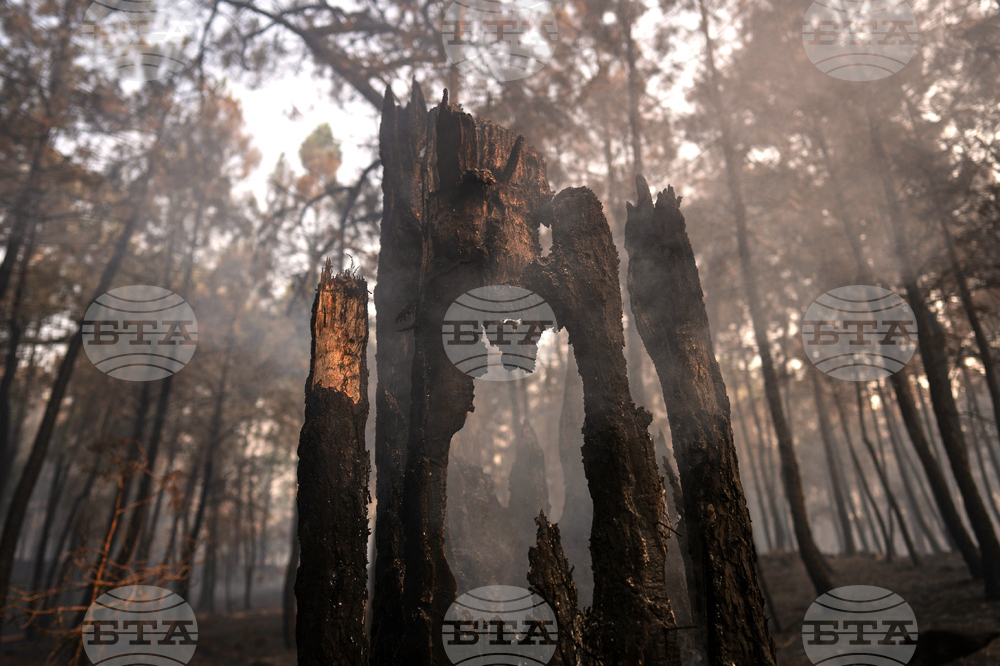 Spain Wildfires