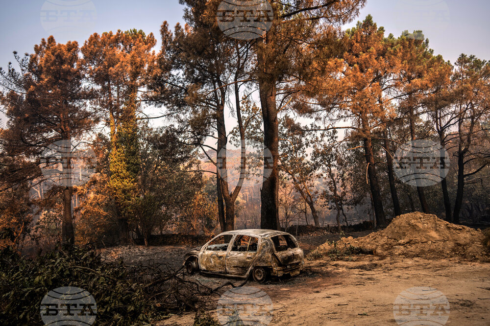 Spain Wildfires