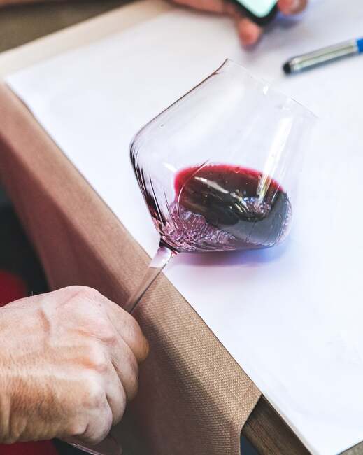 Bulgaria, Romania, Moldova Launch Joint Wine Promotion Initiative