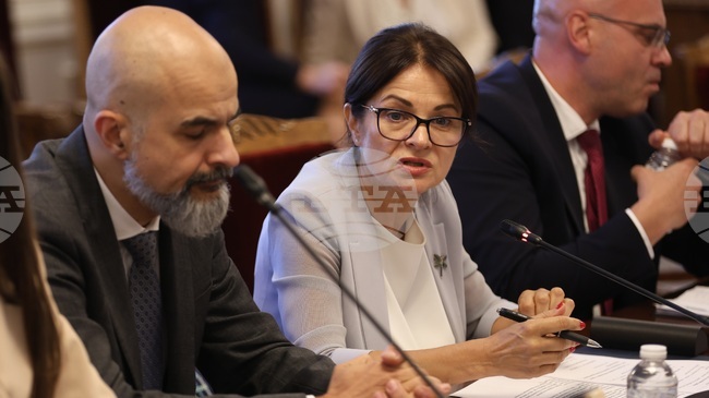 МВнР предлага увеличаване на състава на консулските служби в направления със засилен визов интерес, каза представител на министерството