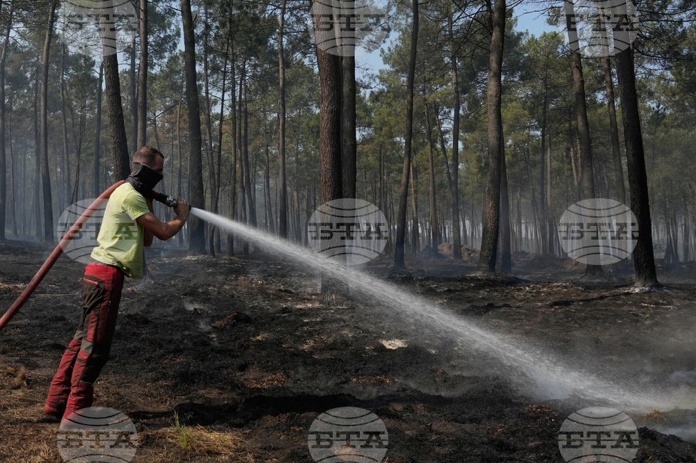 France Wildfires