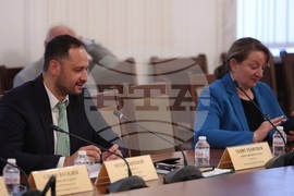 Народно събрание - Комисия по външна политика - заседание