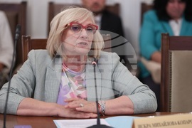 Народно събрание - Комисия по външна политика - заседание