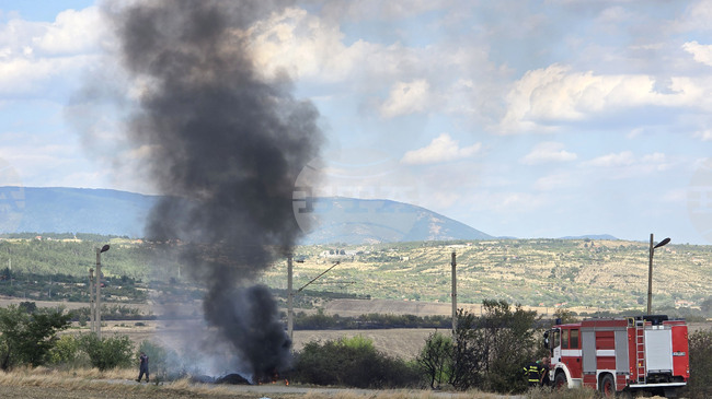120 Fires Extinguished Across Bulgaria in Past 24 Hours, Two Injured