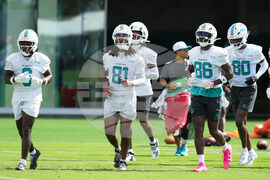 Dolphins Camp Football