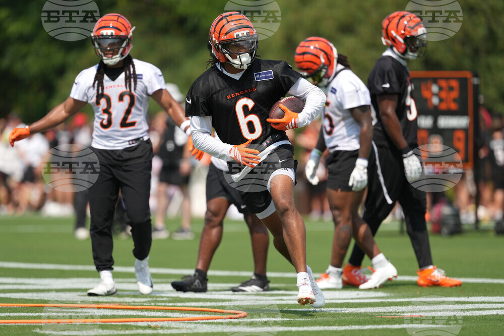 Bengals Camp Football
