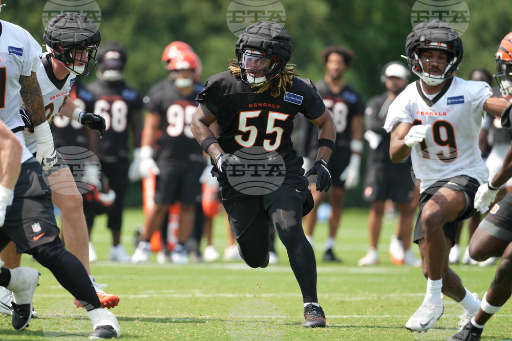 Bengals Camp Football