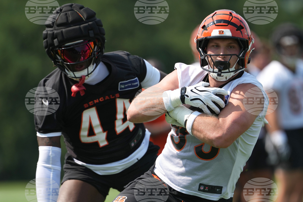 Bengals Camp Football