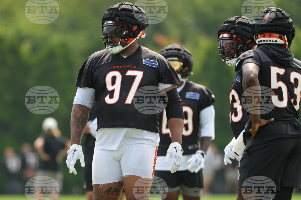 Bengals Camp Football