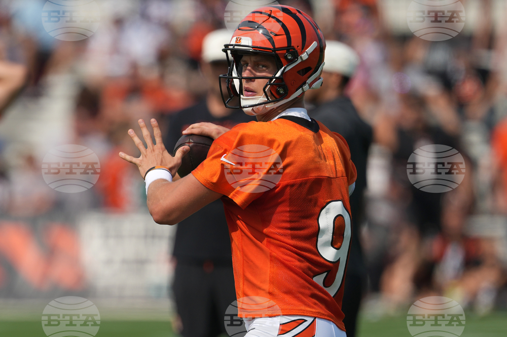 Bengals Camp Football
