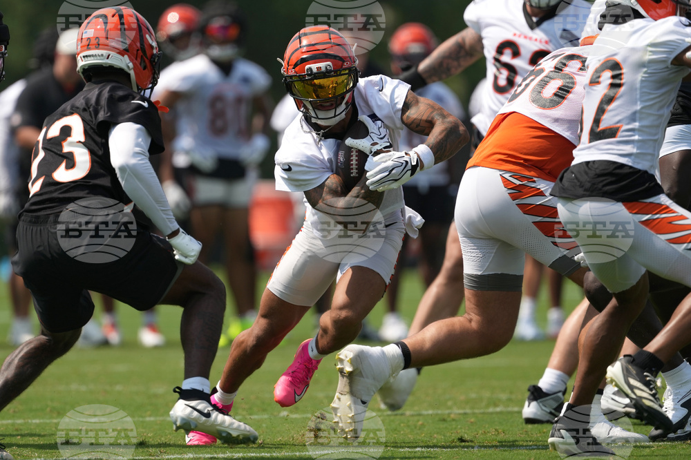 Bengals Camp Football