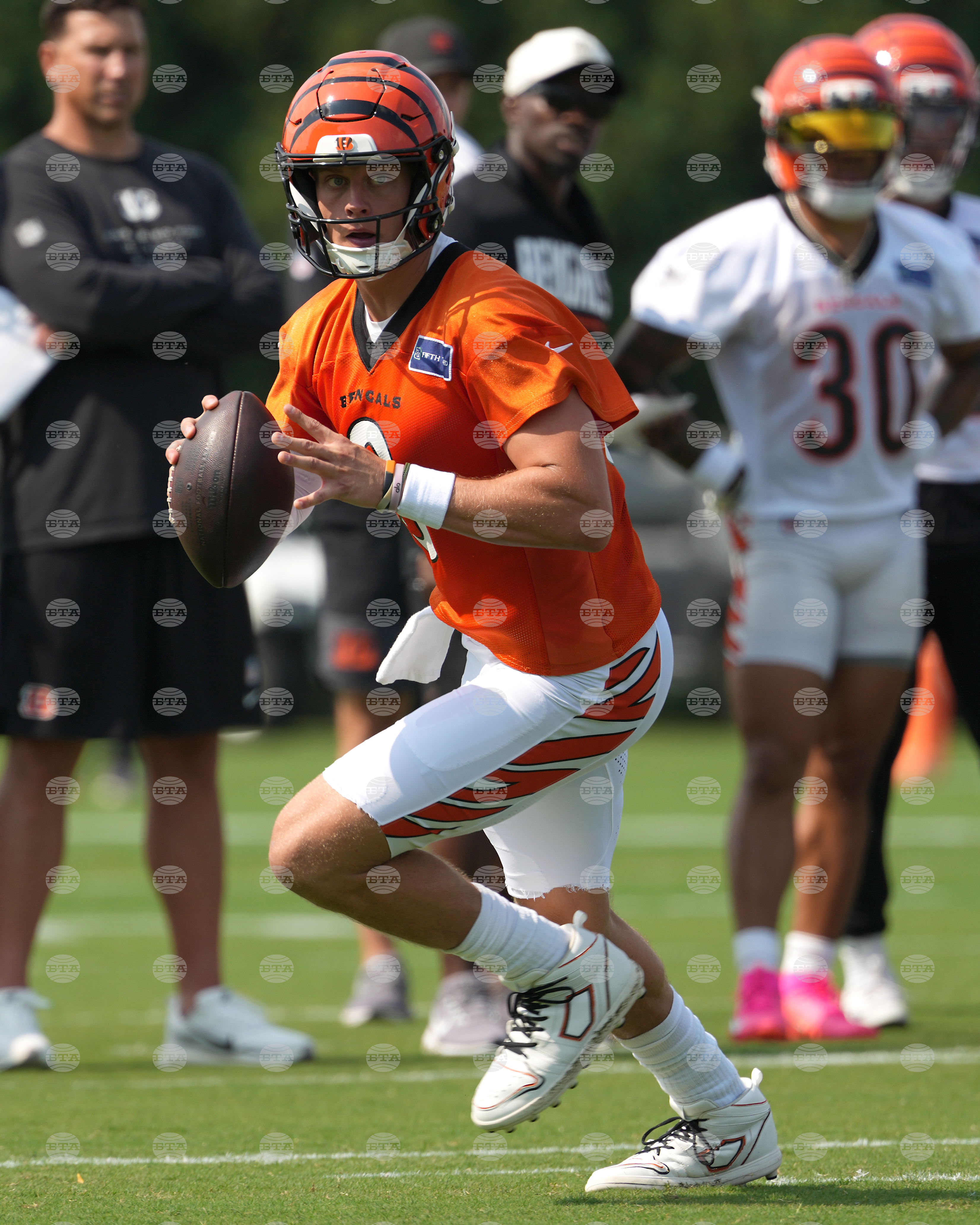 Bengals Camp Football