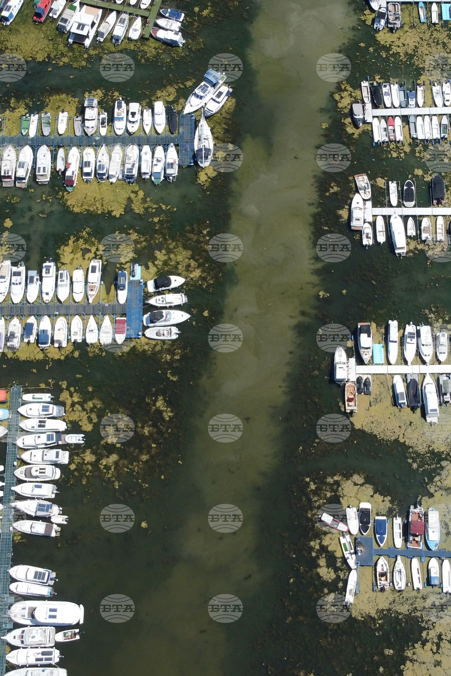 Serbia Danube Drought