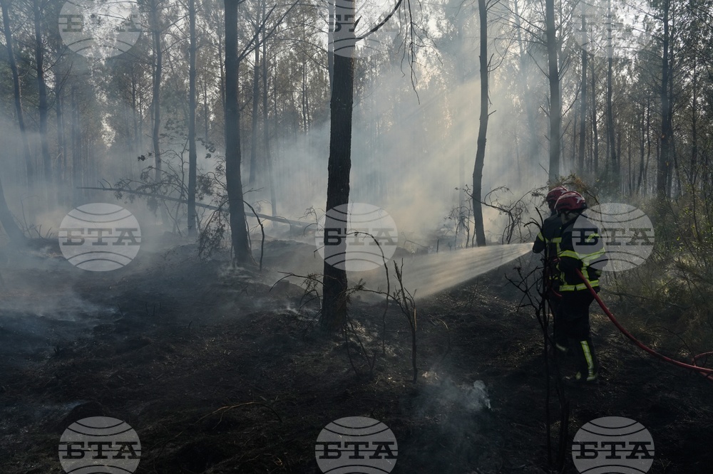 France Wildfires