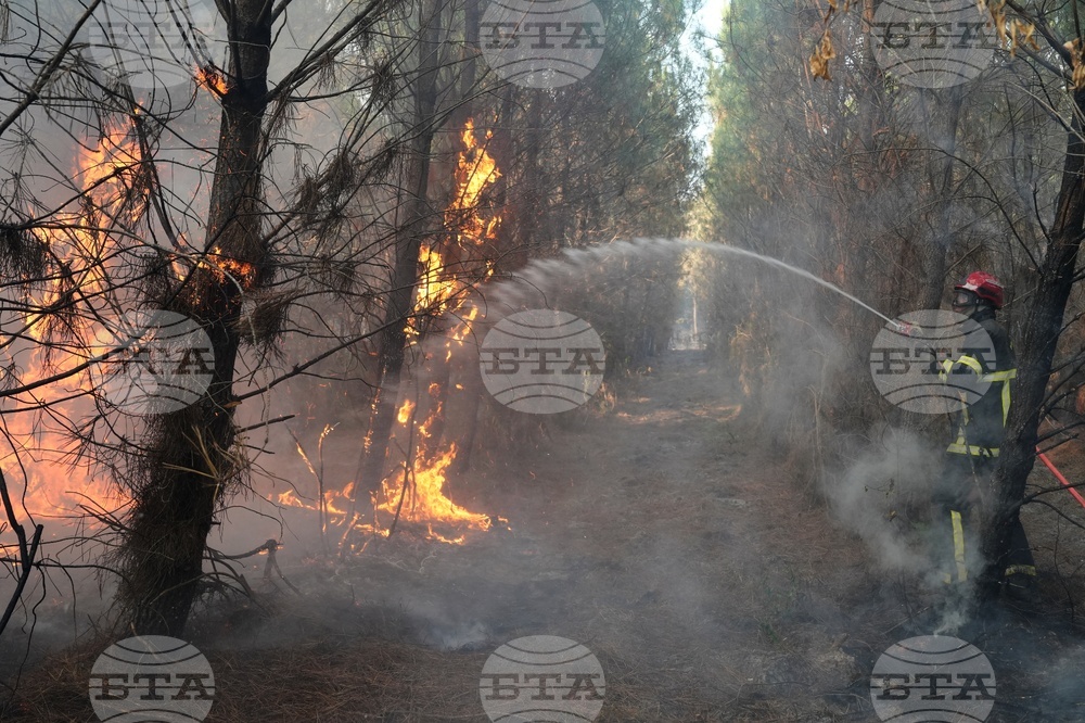 France Wildfires