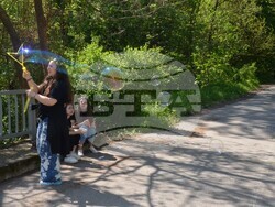 Снимка: Община Видин