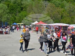 Снимка: Община Видин