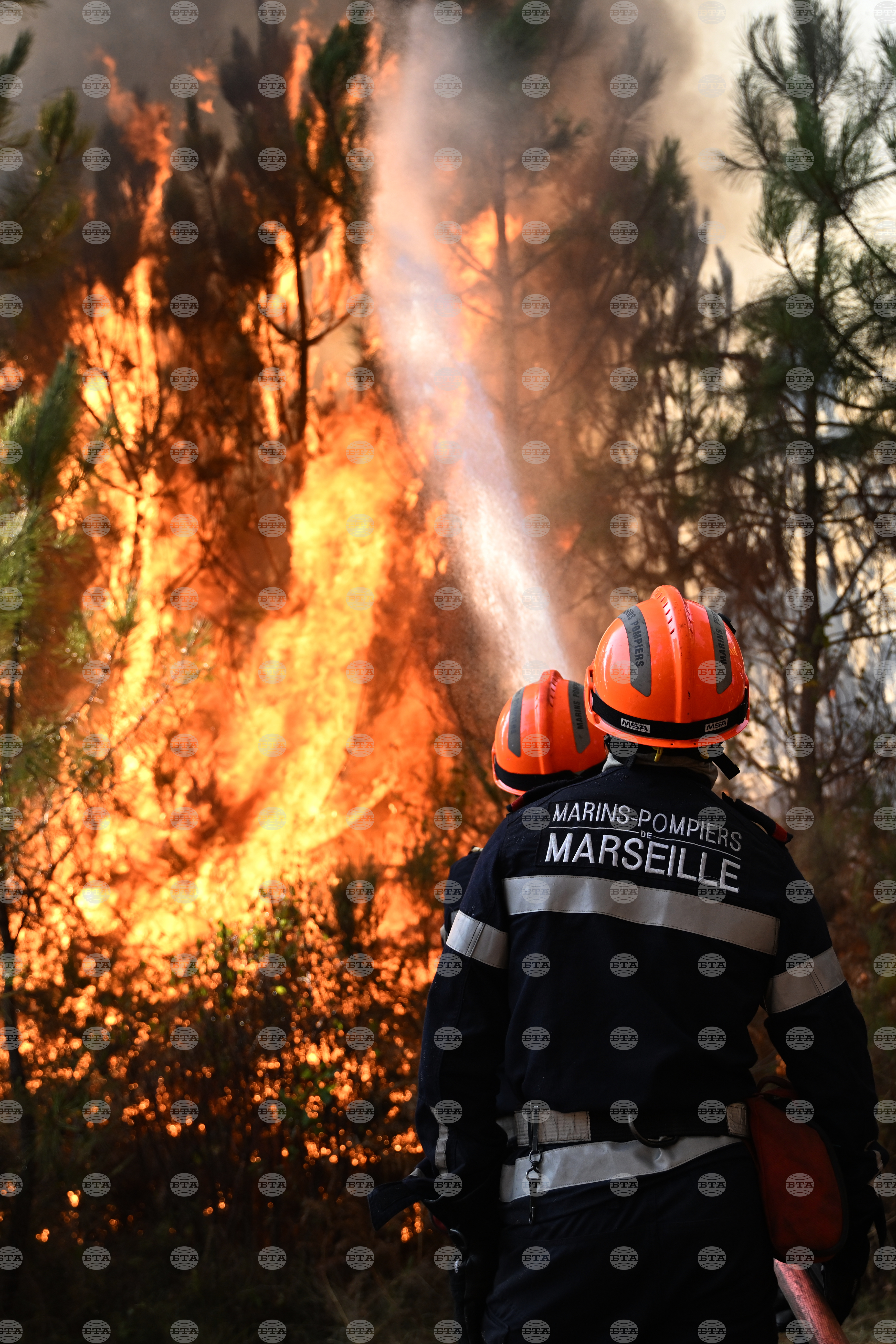 France Wildfires