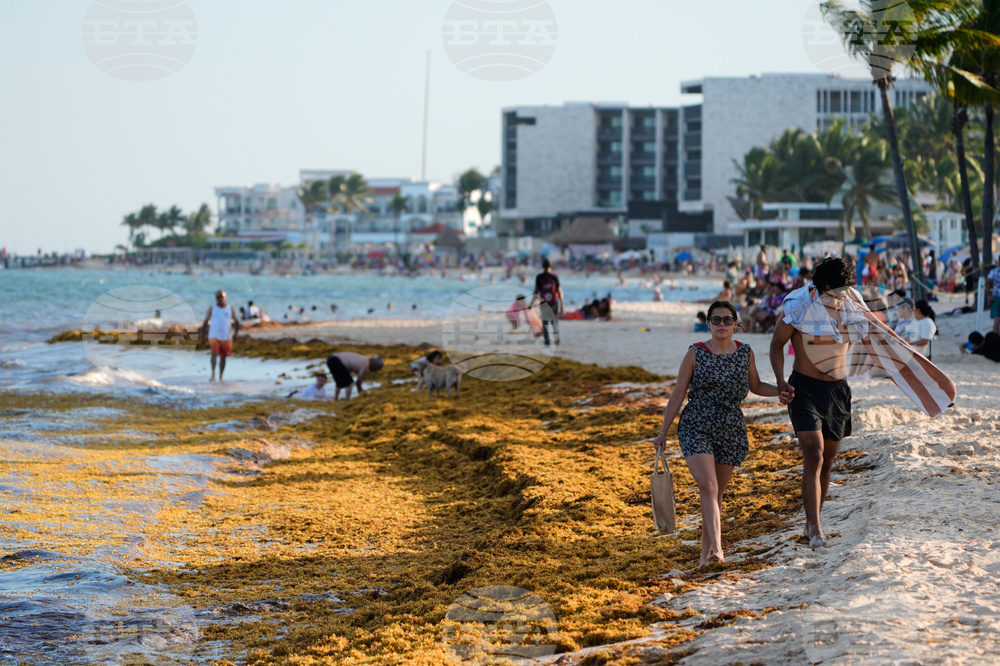 Mexico Sargassum