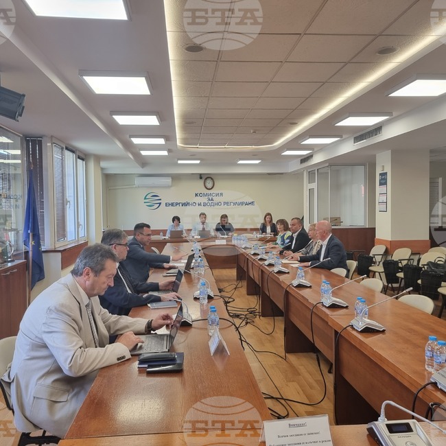 Bulgargaz Proposes 4.6% Increase in August Natural Gas Price 