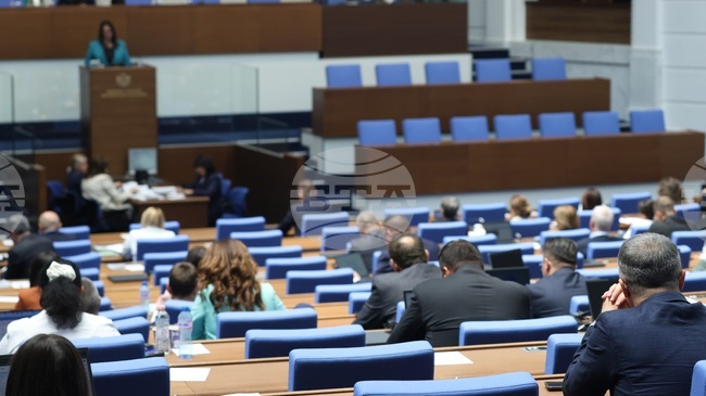 Парламентът реши да отпадне изборен район „Чужбина“