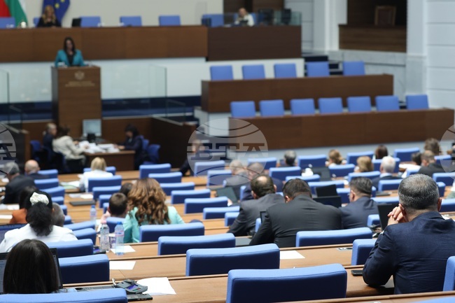Парламентът реши да отпадне изборен район „Чужбина“