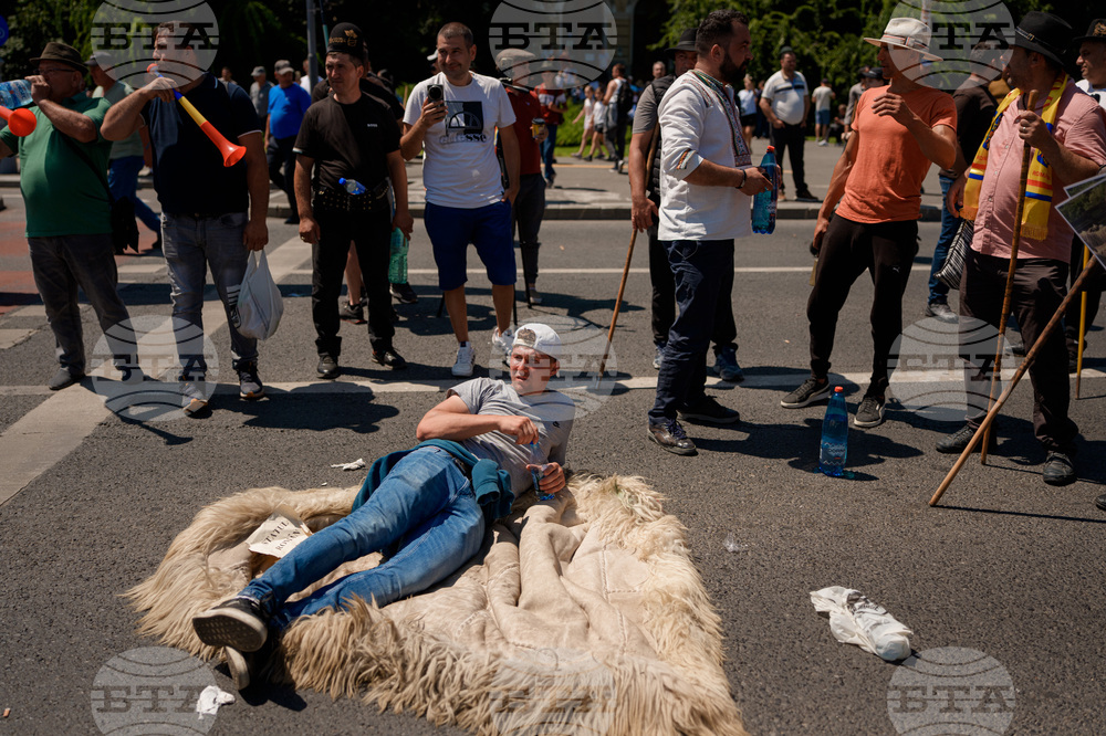 Romania Shepherds Protest