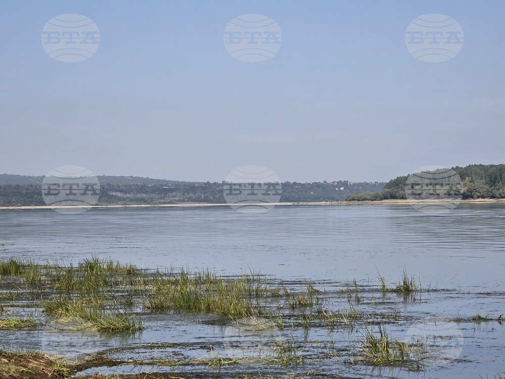 Село Гомотарци - река Дунав - ниво