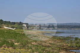 Село Гомотарци - река Дунав - ниво