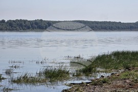 Село Гомотарци - река Дунав - ниво