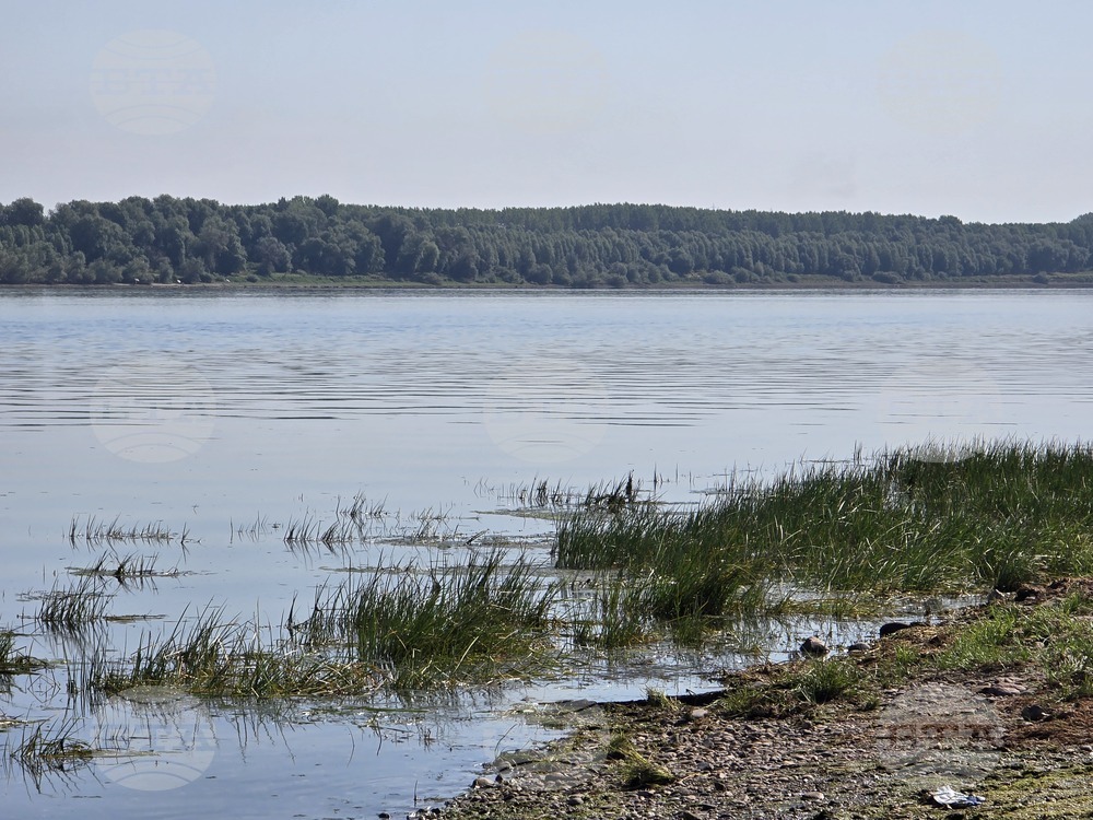 Село Гомотарци - река Дунав - ниво