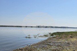Село Гомотарци - река Дунав - ниво