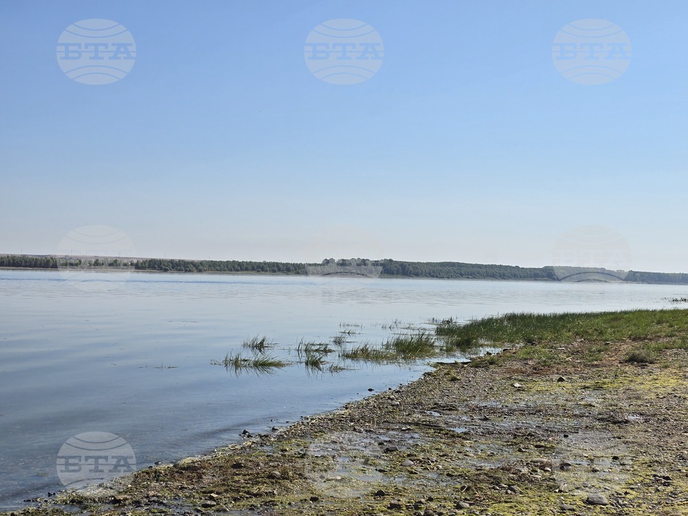 Село Гомотарци - река Дунав - ниво